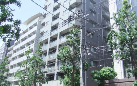 「新中野」駅より徒歩２分。充実した設備の分譲賃貸マンション。（ナビウス中野）