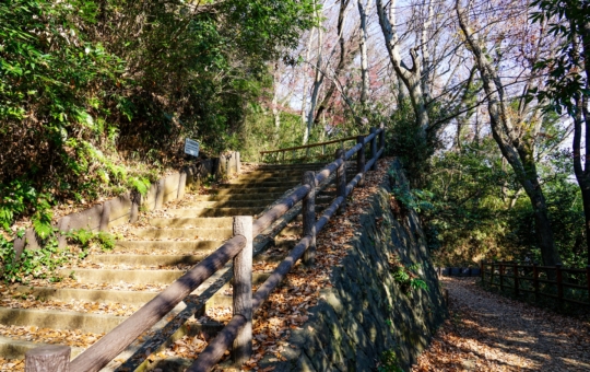 川崎市最大の緑地（川崎市　生田緑地）