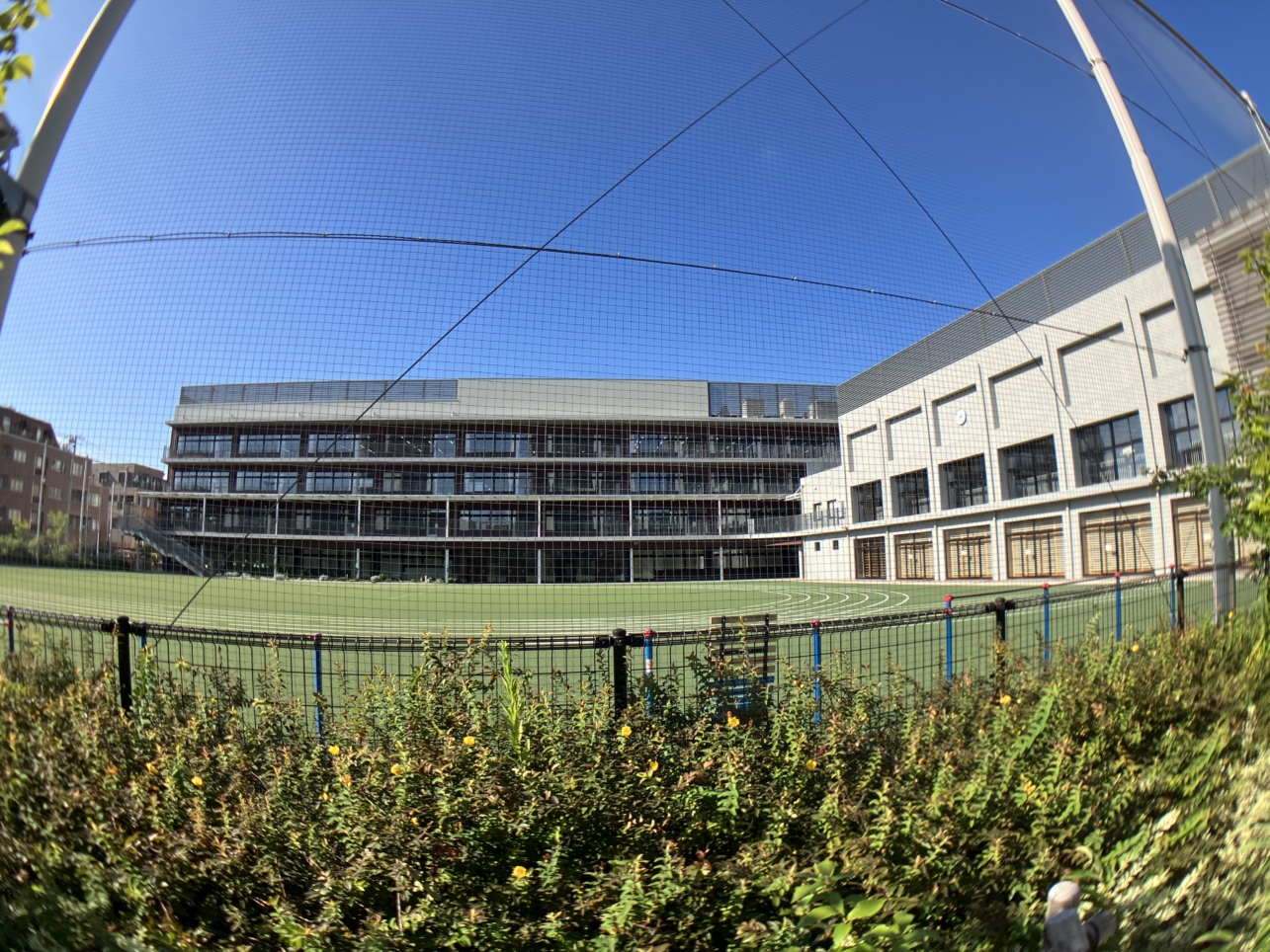 【川崎市立小杉小学校】人工芝が映える小学校！