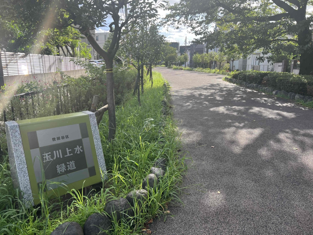 ☆玉川上水緑道でちょっと癒しを☆