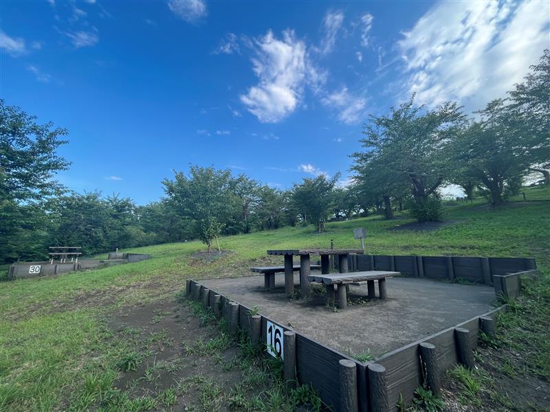 【大池公園】皆様、夏といえば、、、、？＠二俣川