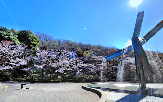 町田駅近くの自然あふれる公園！