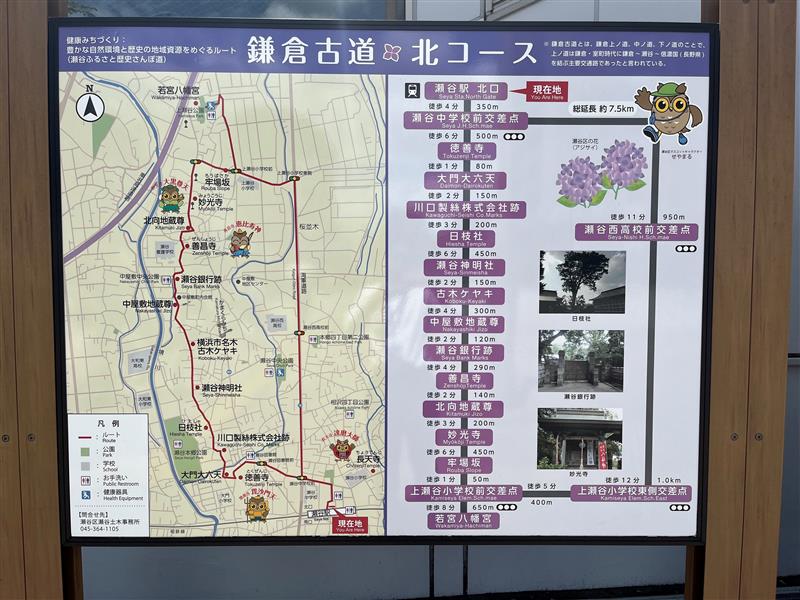 【鎌倉古道散歩コース】歴史に思いを馳せながら＠瀬谷