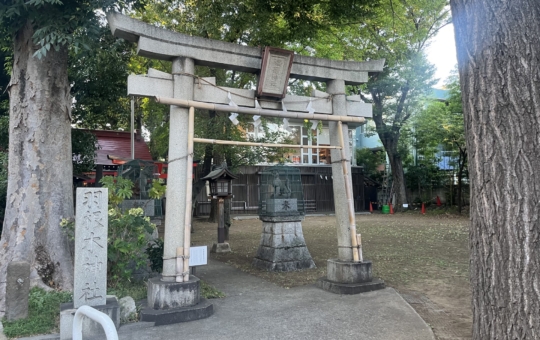 ☆イベント～お祭り～羽根木神社☆