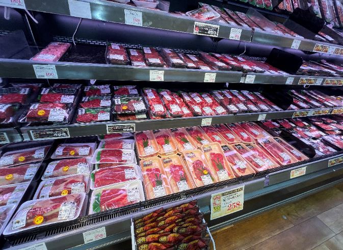 【綱島周辺紹介】24時間営業🍖肉のハナマサ🍖