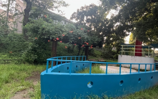 ☆おすすめスポット～玉川上水第三公園～桜上水☆②