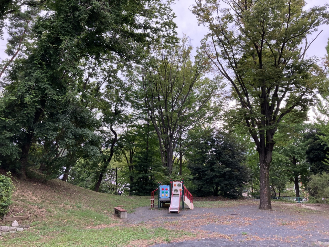 諏訪第一公園で揃えたい！