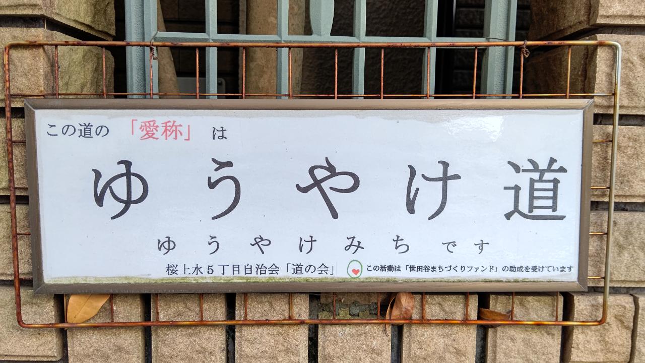 ☆おすすめスポット～桜上水5丁目付近～☆