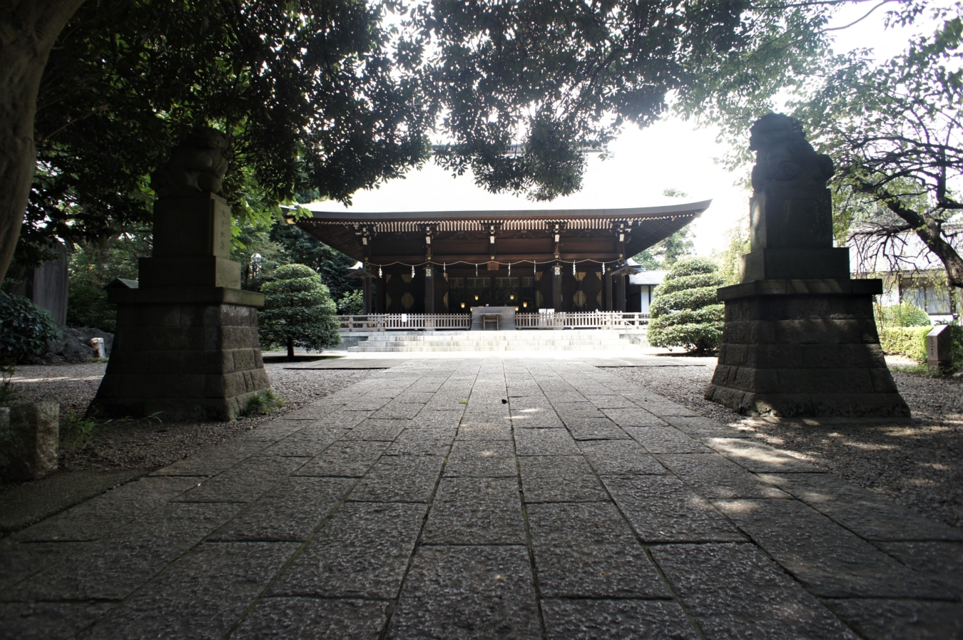 氷川神社の大祭が近づいてまいりました