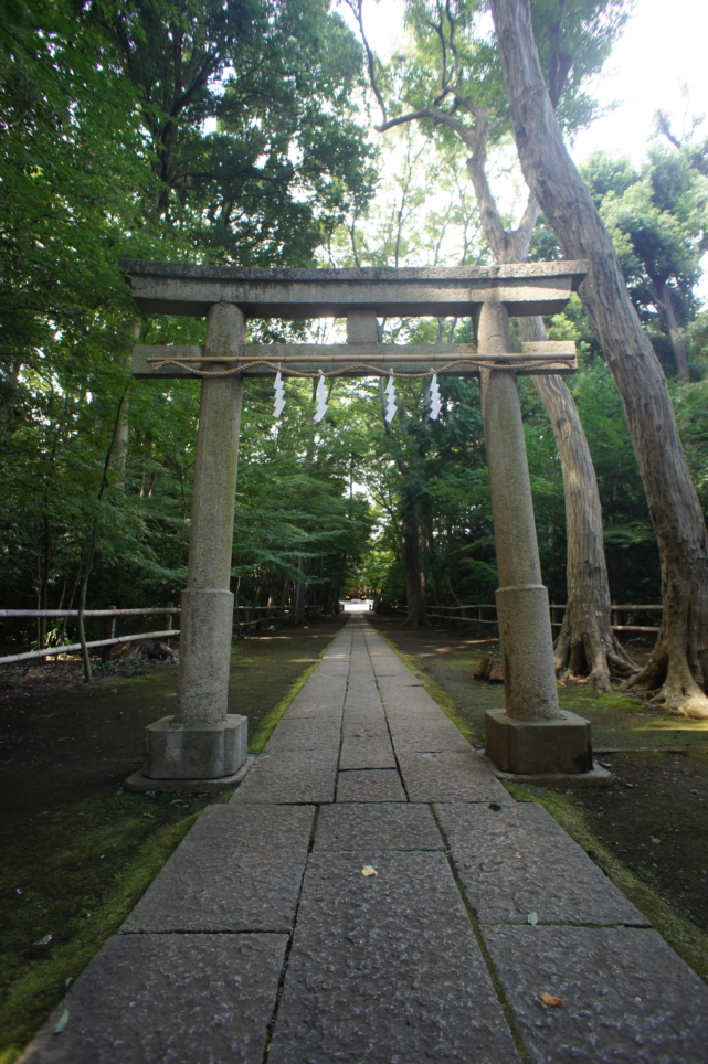 氷川神社の大祭が近づいてまいりました