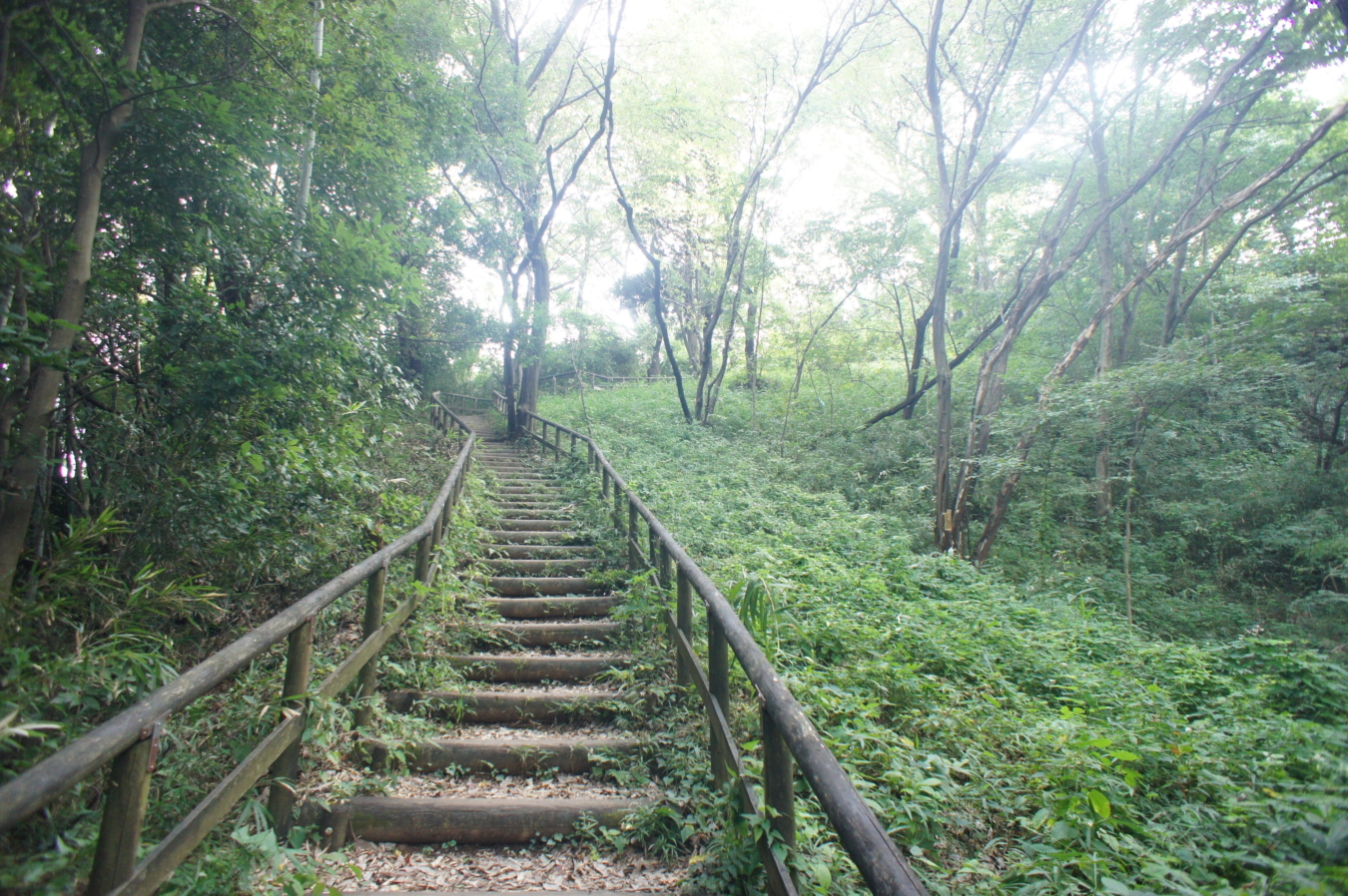 生田緑地！