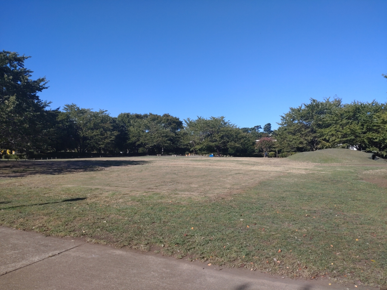 広くて天気がいい日にはおすすめの公園です♪