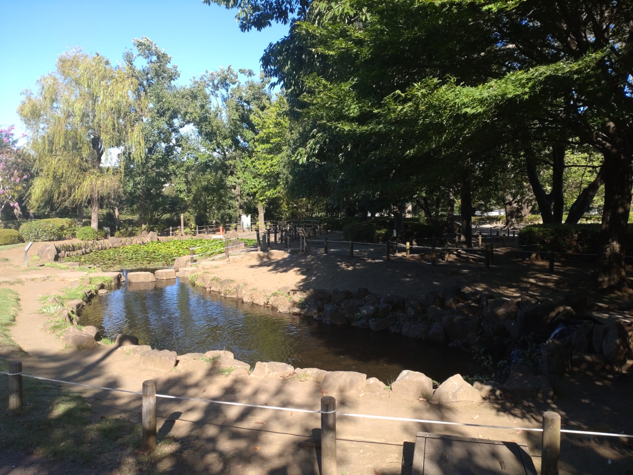 広くて天気がいい日にはおすすめの公園です♪