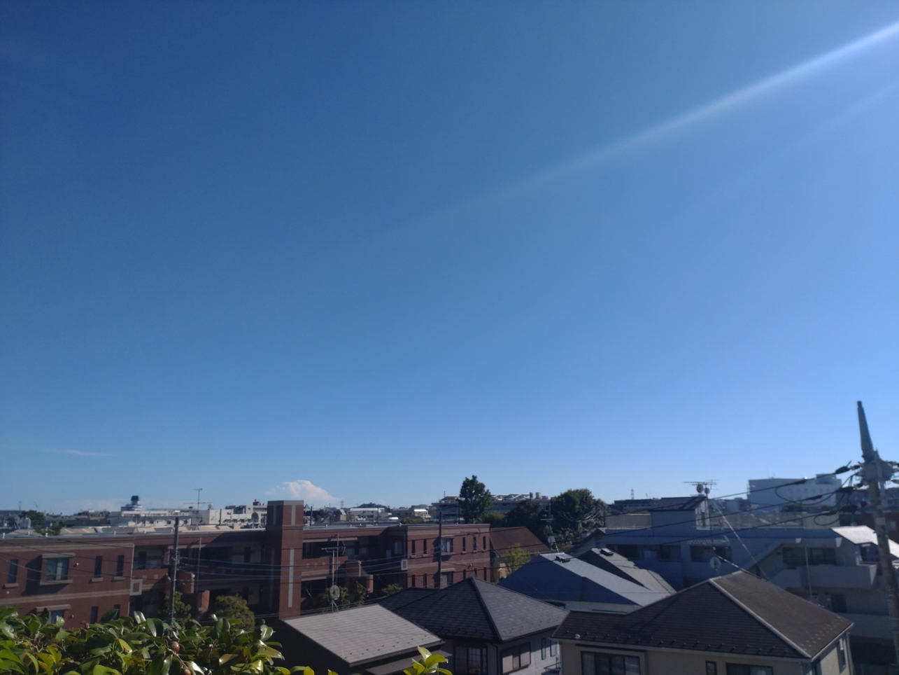 広くて天気がいい日にはおすすめの公園です♪