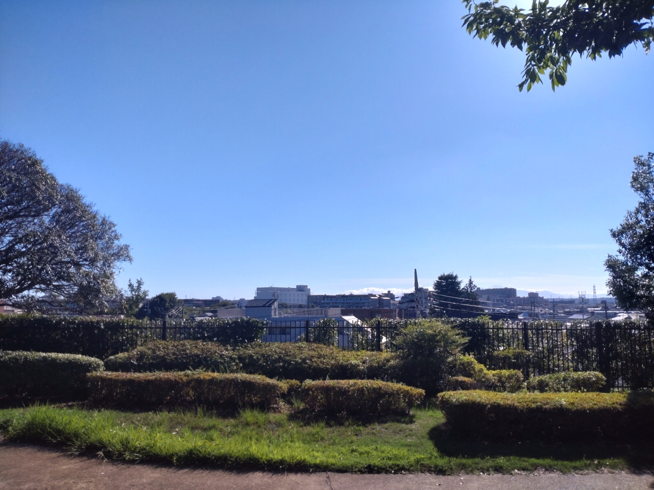 広くて天気がいい日にはおすすめの公園です♪