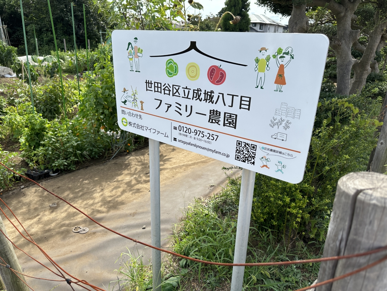 世田谷区で農園を楽しめる！（世田谷区成城八丁目ファミリー農園）