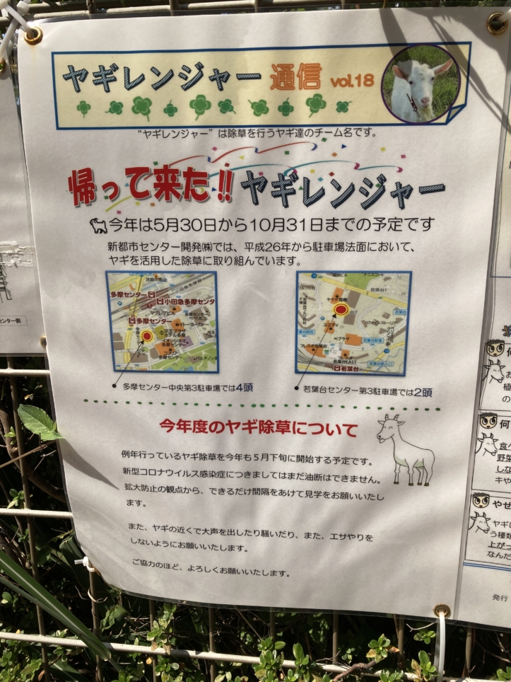【多摩センター】こんなところに…