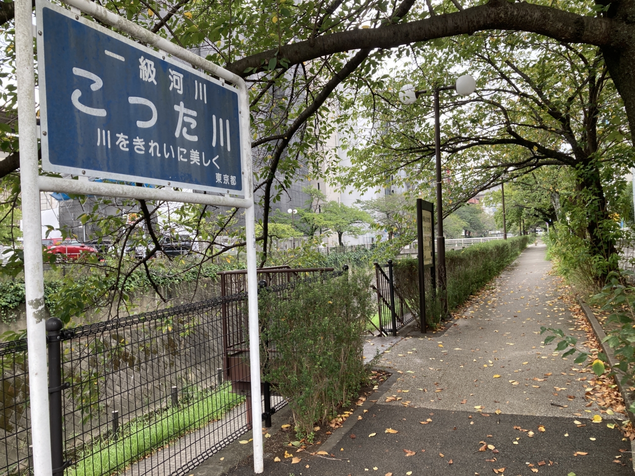 【多摩センター】川沿いをどこまでも♪
