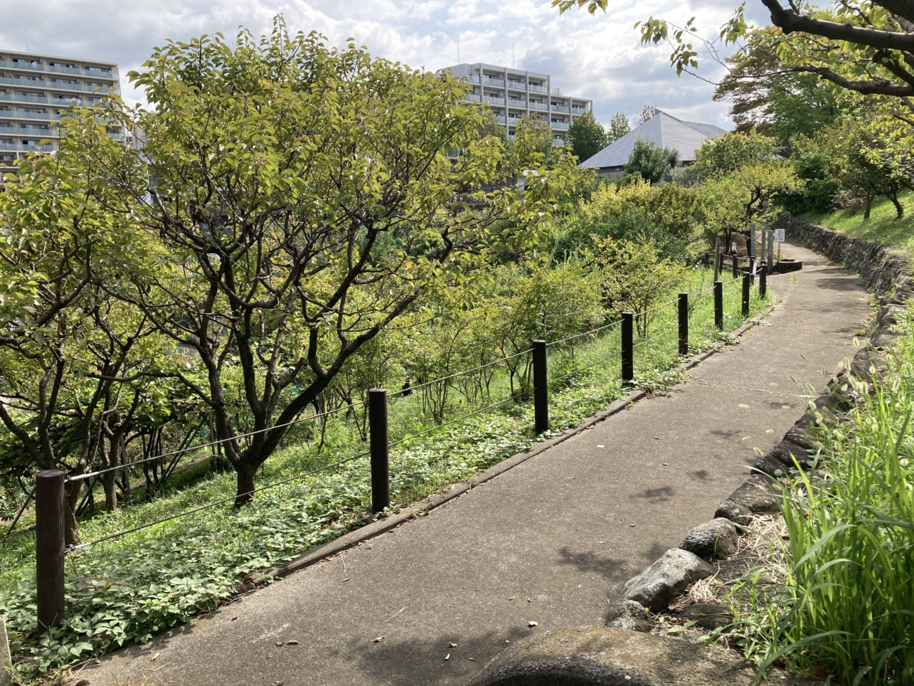 【唐木田、多摩センター】果樹園があります☆