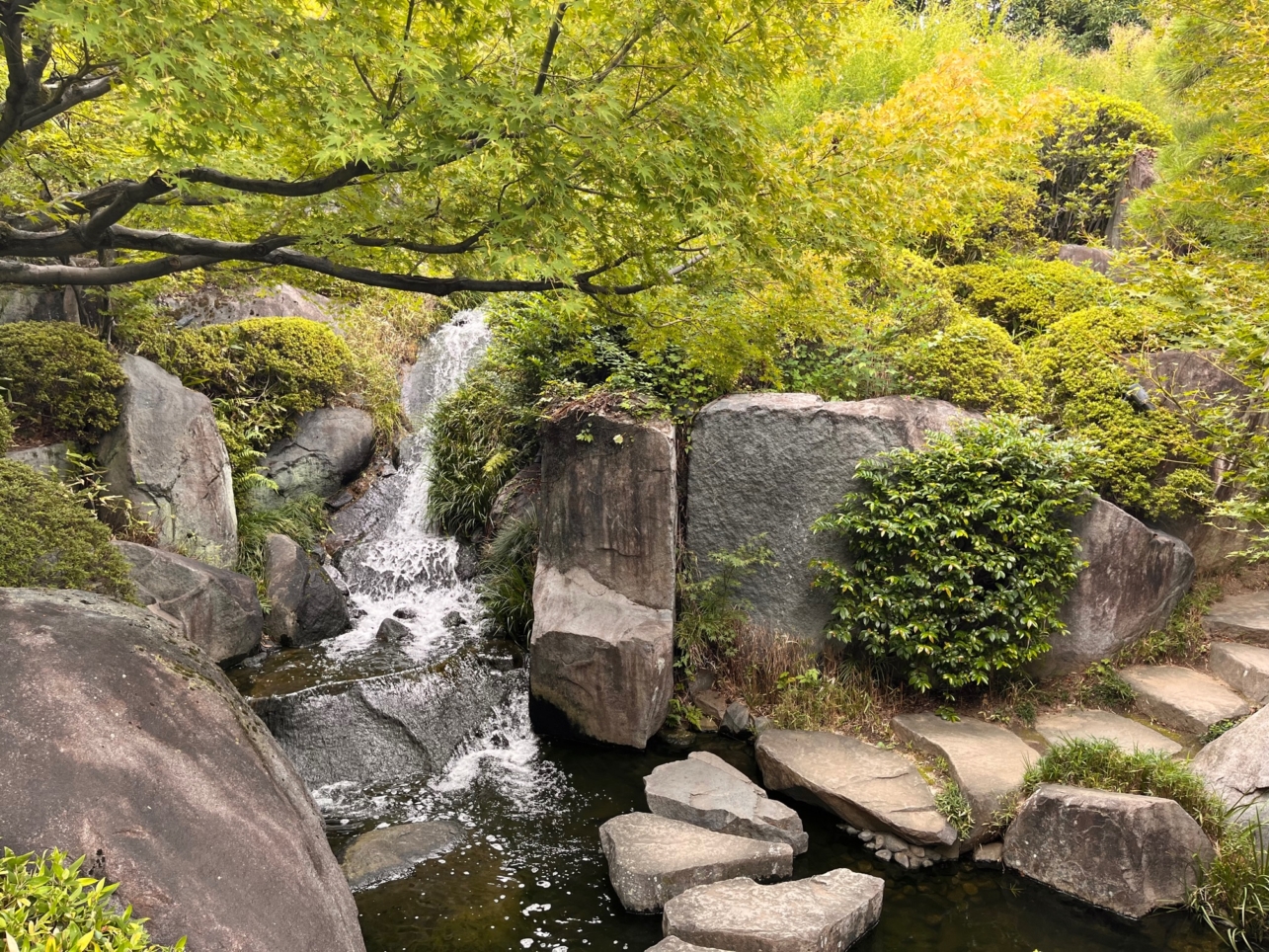 入園料無料～!!ふらっと散策♪☆豊島区立目白庭園☆
