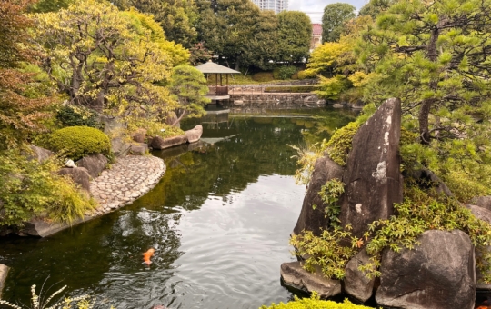 入園料無料～!!ふらっと散策♪☆豊島区立目白庭園☆