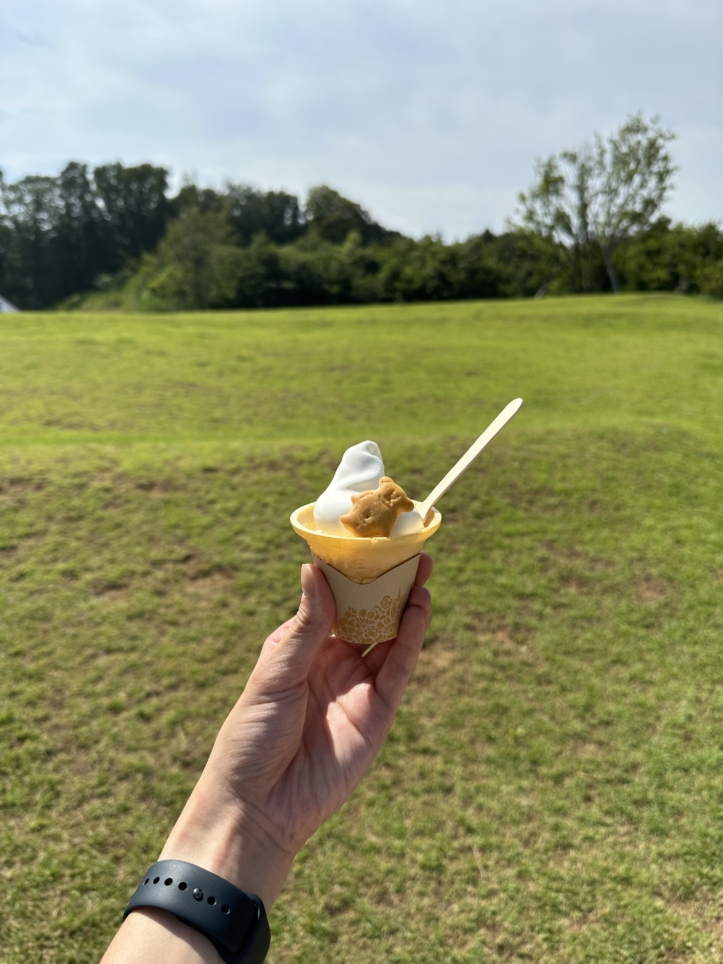☆大人も子供も楽しめる薬師池公園☆