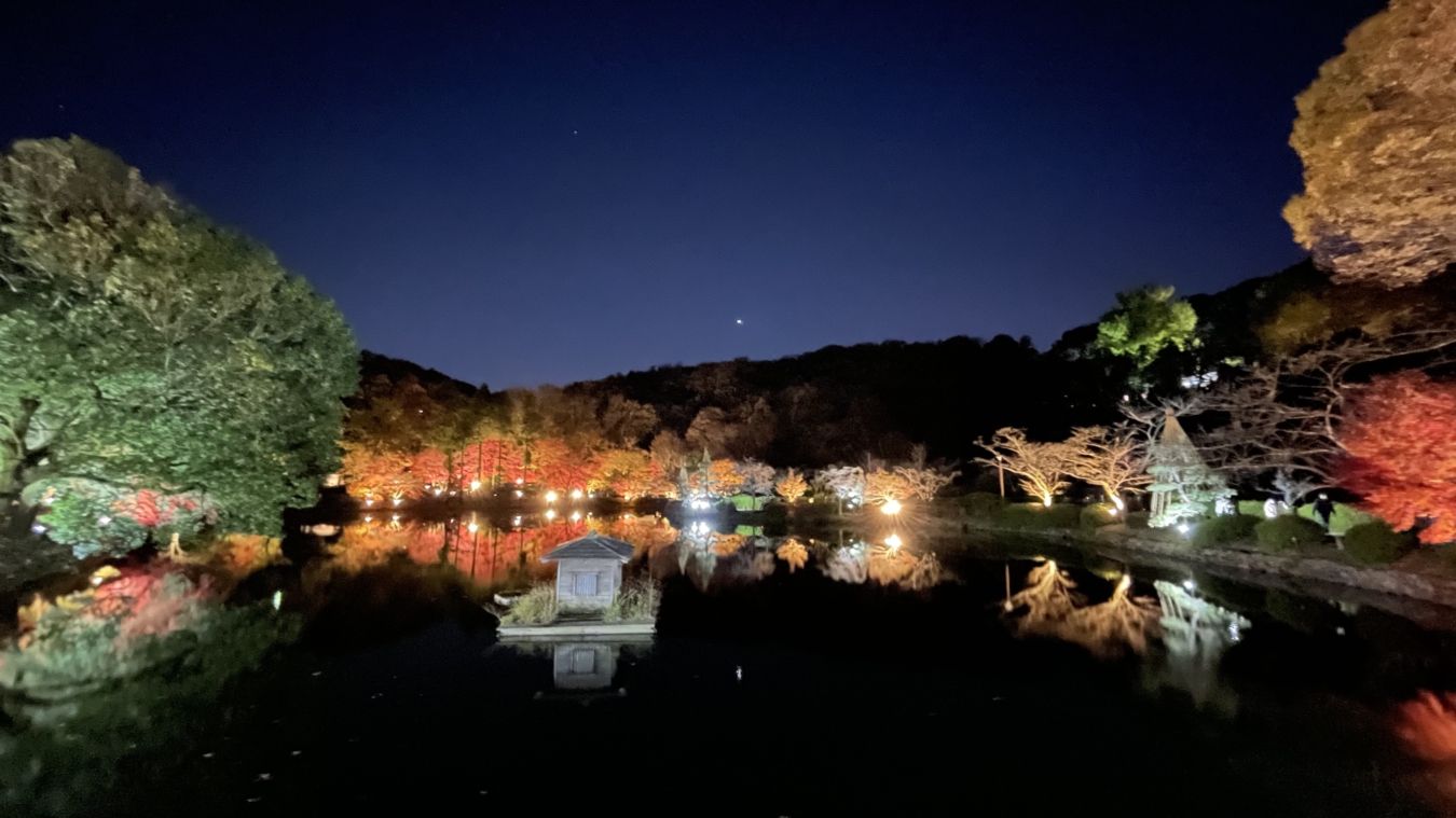 ☆大人も子供も楽しめる薬師池公園☆