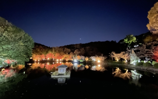 ☆大人も子供も楽しめる薬師池公園☆