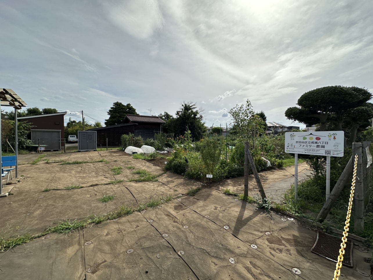 世田谷区で農園を楽しめる！（世田谷区成城八丁目ファミリー農園）