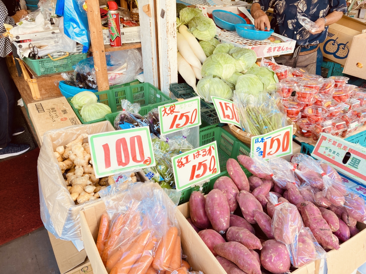 レアな観葉植物！光星フラワーさん（南区井土ヶ谷駅周辺）
