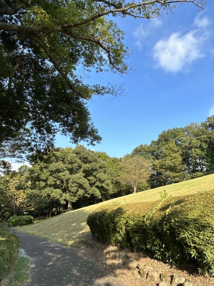 【南大沢】見晴らしの良い公園です☆