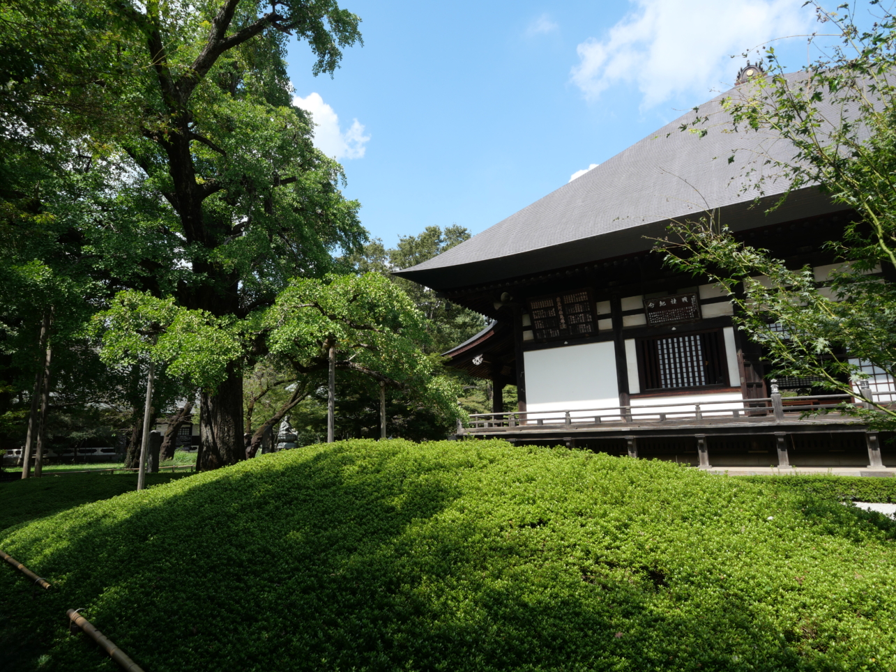 「九品山唯在念佛院浄真寺」