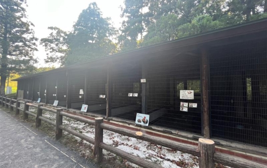 【万騎が原ちびっこ動物園】1日中遊べます　＠二俣川