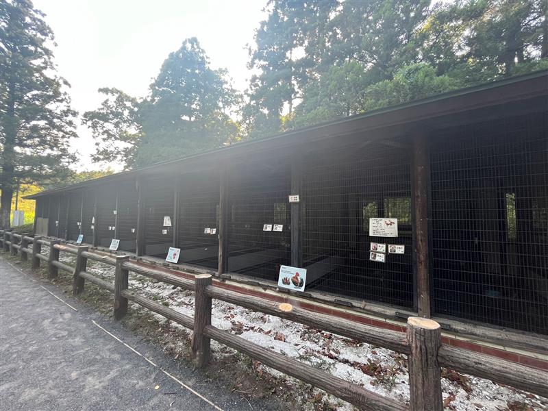 【万騎が原ちびっこ動物園】1日中遊べます　＠二俣川