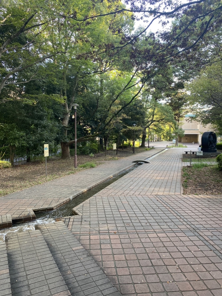 ☆美術館併設の癒しの公園☆