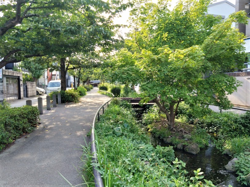 ☆おすすめスポット☆【北沢川緑道】