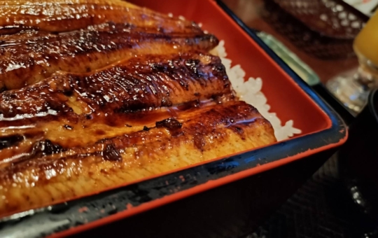 【京王堀之内】特別な日に♪鰻とお鮨の「だるま」