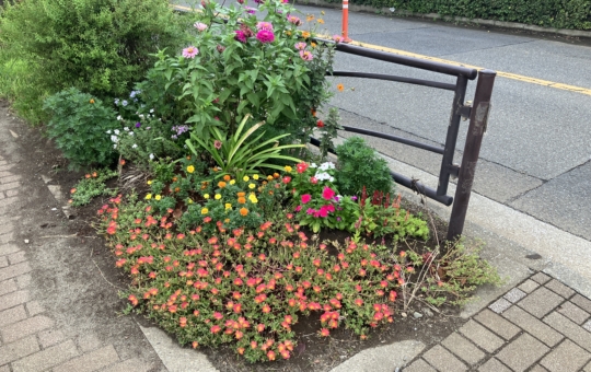 等々力競技場前にきれいなお花が！