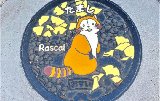 【聖蹟桜ヶ丘】FOUND ANOTHER RASCAL HERE