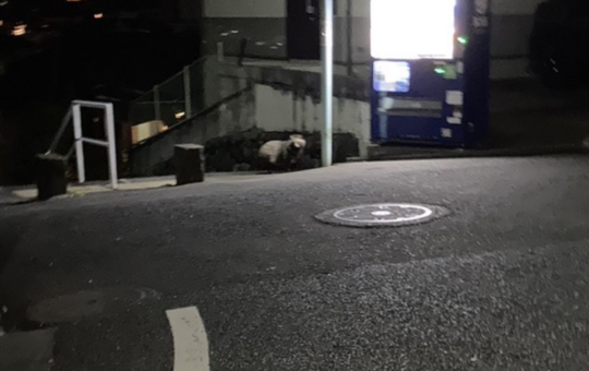 誰か見てる．．．