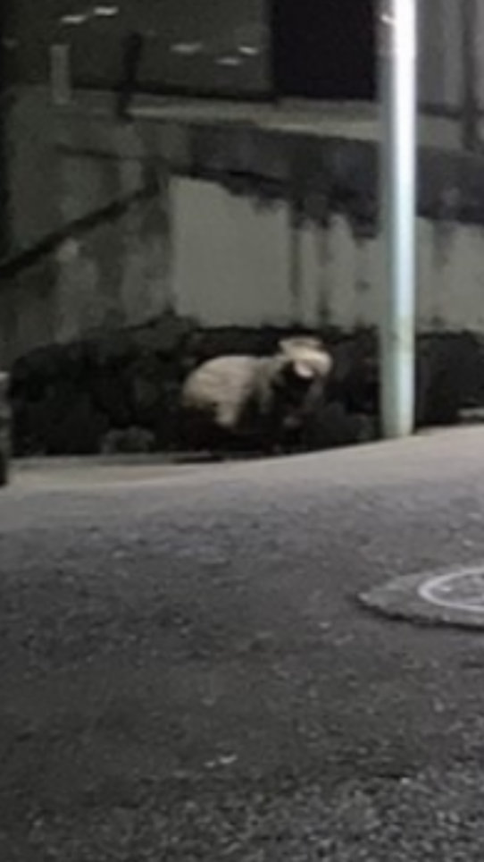 誰か見てる．．．