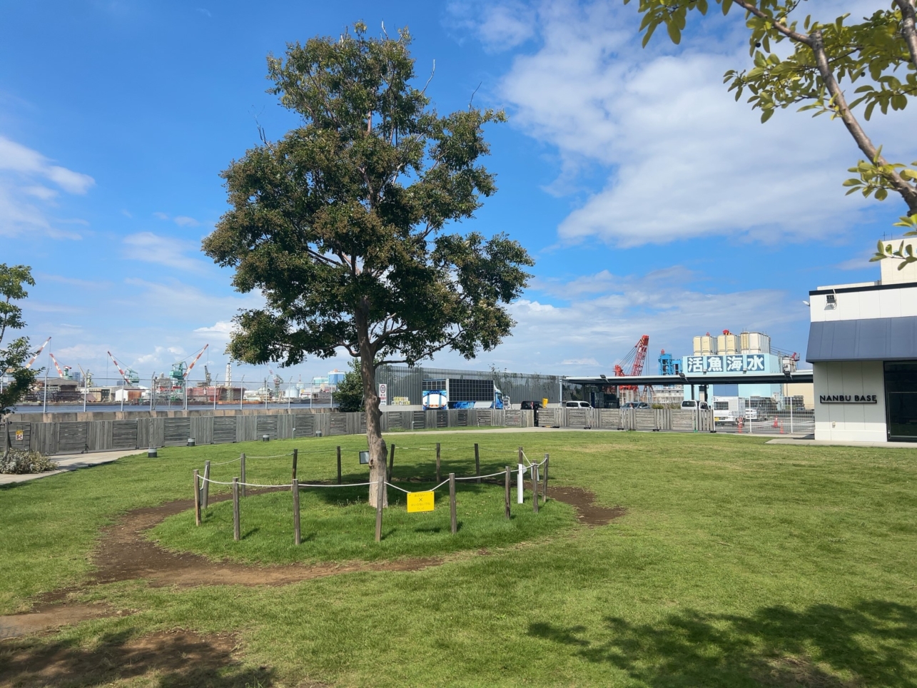 市場の活気そのまま、ランチや日々のお買物も！（金沢区鳥浜エリア）