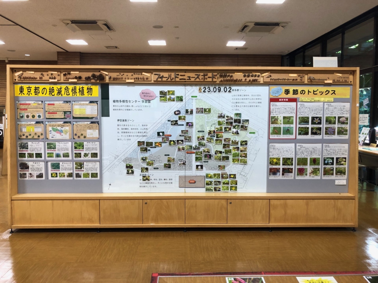 東京都の絶滅危惧『植物』