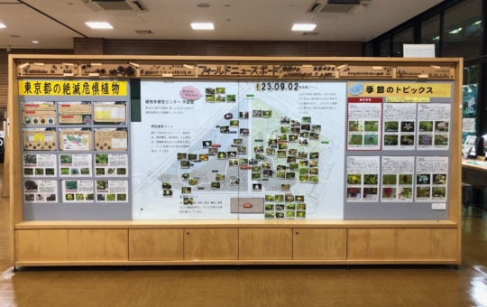東京都の絶滅危惧『植物』