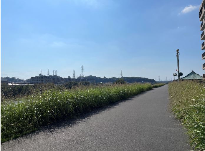 【綱島周辺紹介】鶴見川を一望できる✨土手