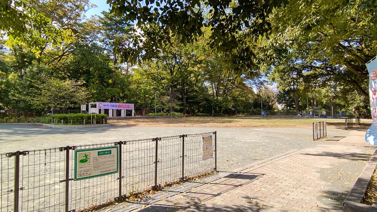 ☆おすすめスポット～将軍池公園～上北沢☆