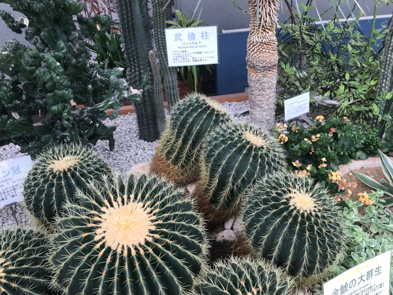 ☆県立相模原公園☆