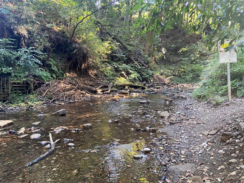 【鶴ヶ峰】陣ヶ下渓谷公園