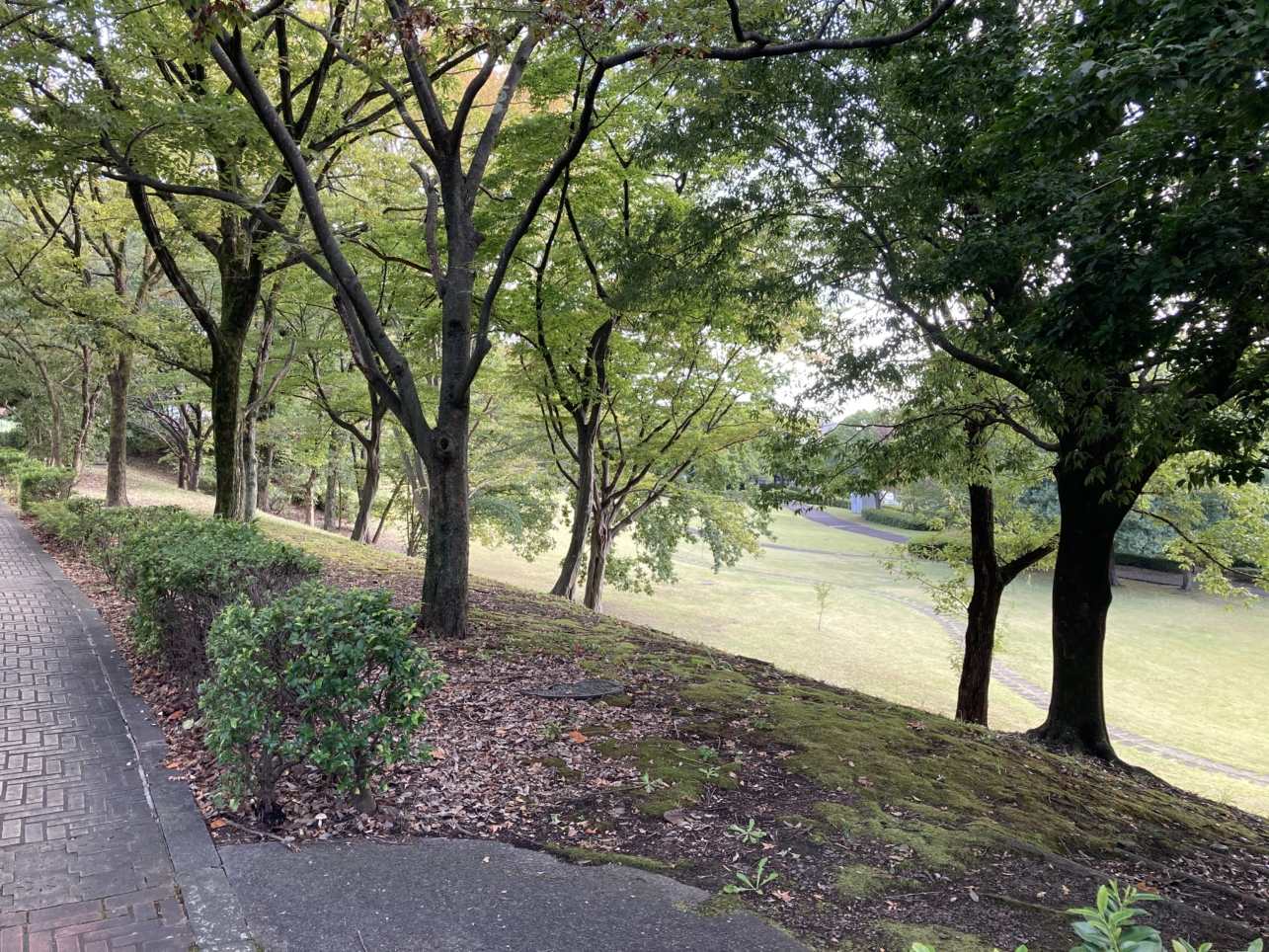【京王堀之内】傾斜を生かした公園です♪