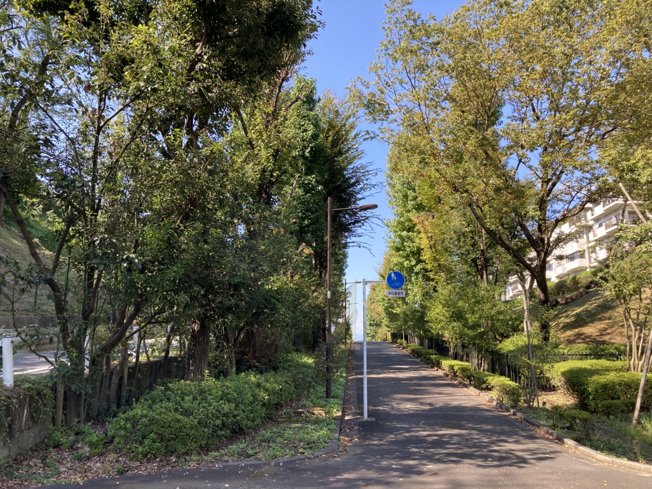【多摩センター】トンネルの上はこうなっています。